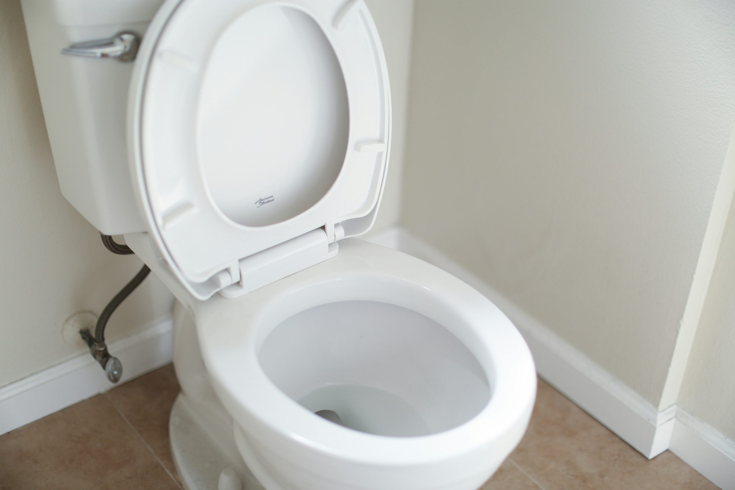 close-up of a toilet bowl
