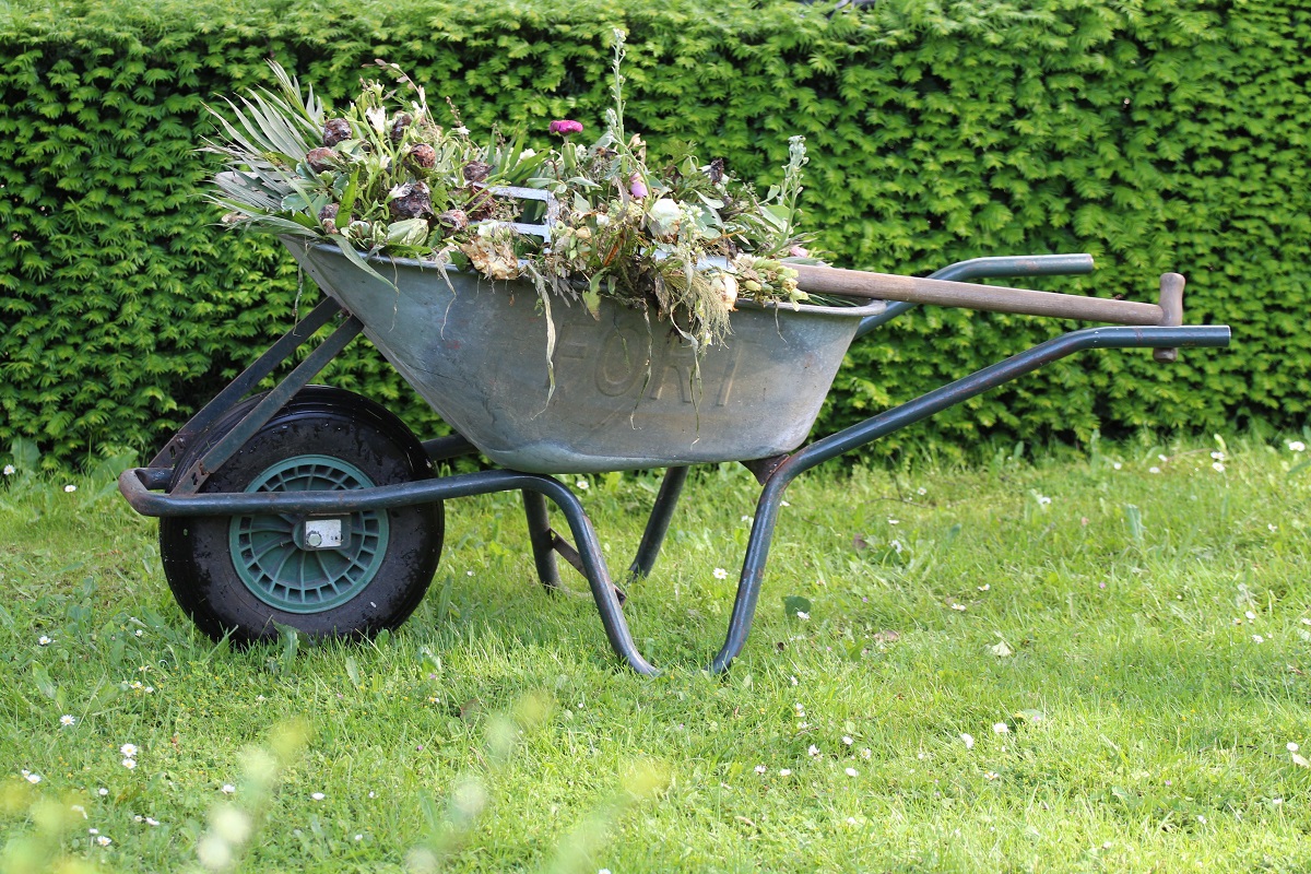wheelbarrow with garden waste